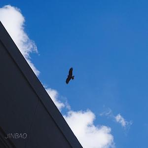 泰国黄色淫秽网站
