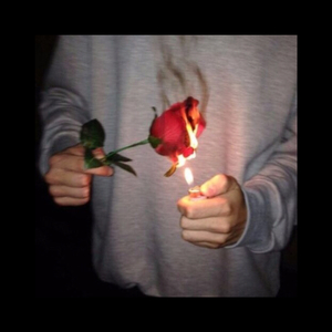 泰国黄色淫秽网站
