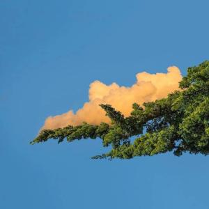 泰国黄色淫秽网站
